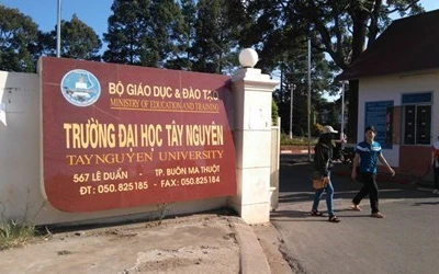 Đại học Tây Nguyên: 12 thí sinh trúng tuyển không được nhập học