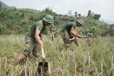 Dấu chân người lính Quân đoàn 3