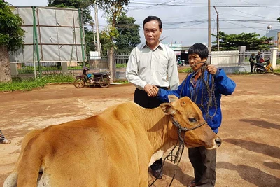 Huyện Chư Pưh: Cấp bò cho gia đình chính sách, người có công với cách mạng