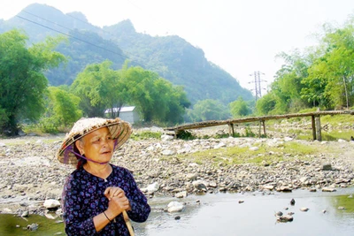 Những dòng sông chết ngạt