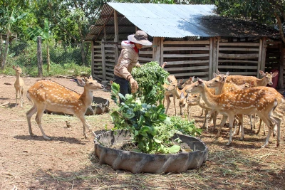 Chuyện làm giàu của Hưởng