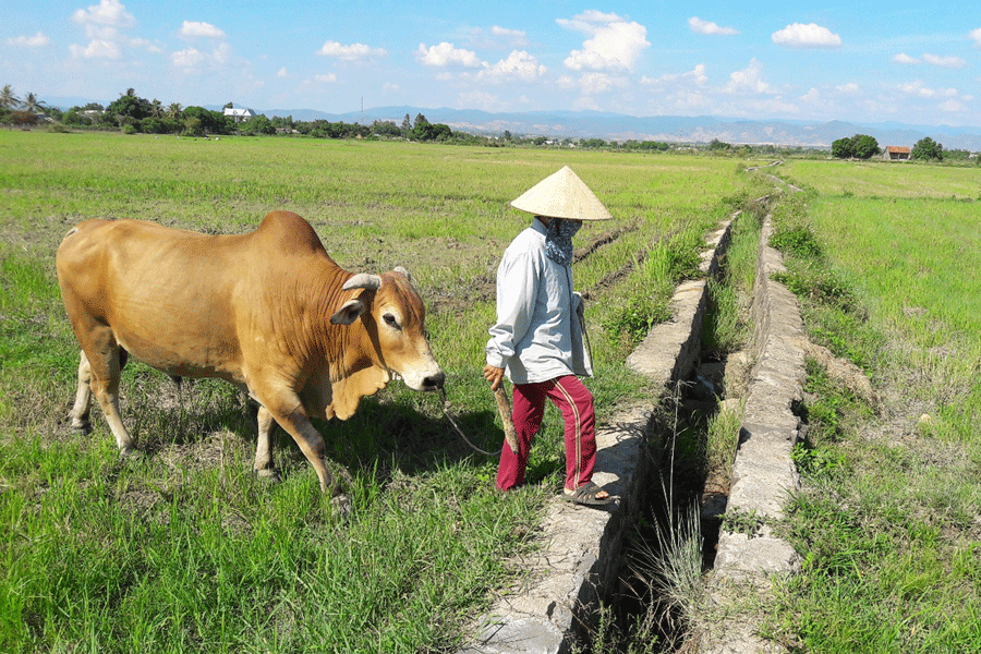 Sai phạm trong thi công kênh mương ở xã Ia Peng: Không khởi tố vụ án