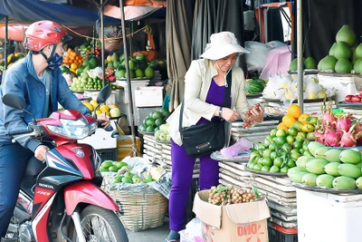 Điểm báo Gia Lai ngày 11-5-2017