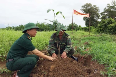 Đồn Biên phòng Ia Púch: Phát động "Tết trồng cây đời đời nhớ ơn Bác Hồ"