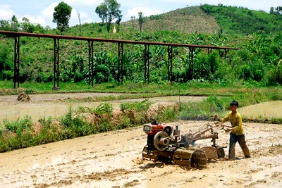 Chư Prông tích cực sản xuất vụ mùa