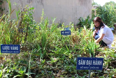 Trạm Y tế xã Kdang: Chăm lo sức khỏe ban đầu cho người dân