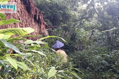 Gia đình sống gần như tuyệt giao với thế giới bên ngoài ở Thanh Hóa: Đang khai quật "khu vườn bí ẩn"