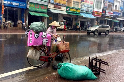 Pleiku: Mưu sinh mùa mưa bão