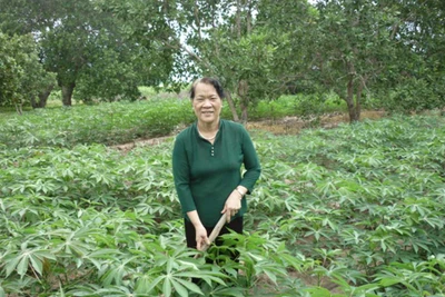 Cựu thanh niên xung phong làm kinh tế giỏi