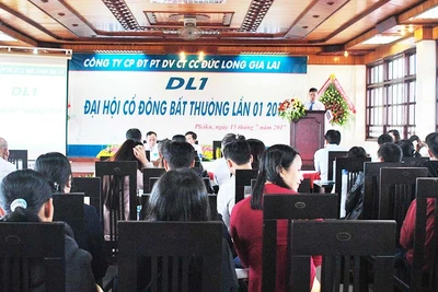 Công ty cổ phần Đầu tư Phát triển Dịch vụ Công trình Công cộng Đức Long Gia Lai: Tăng vốn điều lệ lên trên 1.013 tỷ đồng