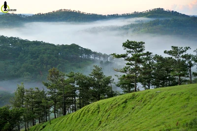 Hồ Suối Vàng - điểm săn mây lý tưởng ở Đà Lạt