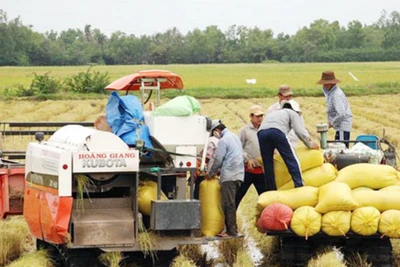 Tái cơ cấu nông nghiệp từ bảo quản và chế biến