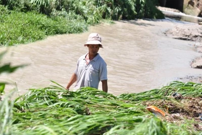 Học sinh lớp 4 bị nước cuốn trôi ở Đồng Nai, thi thể được tìm thấy ở Bình Dương