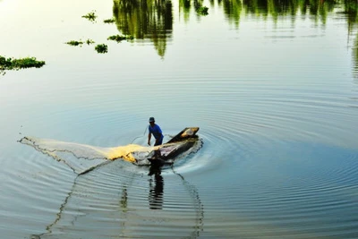 Nhanh chân về Vàm Nao mùa này...