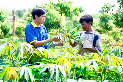 Gia Lai hỗ trợ người dân vùng khó vươn lên thoát nghèo