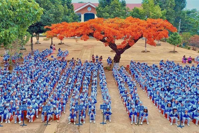 An toàn trường học: Cần giải pháp căn cơ