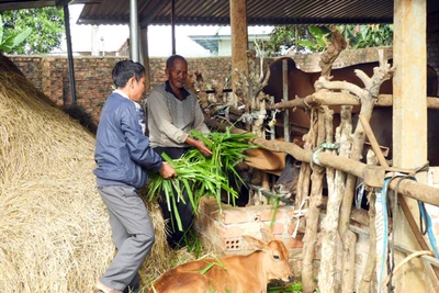 Ia Sao: Tìm giải pháp nâng cao đời sống người dân