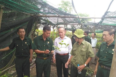 Lão nông khởi nghiệp từ... 10 hạt giống, nổi danh nhờ bán loại chanh leo ngọt lừ trên mạng xã hội