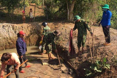 "Ngày thứ 7 tình nguyện" và "Ngày Chủ nhật xanh"