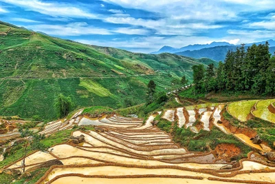 Mùa nước đổ Y Tý: 'Nấc thang lên thiên đường' giữa lưng chừng trời