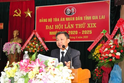 Ông Phạm Duy Lam tái đắc cử Bí thư Đảng bộ Tòa án nhân dân tỉnh Gia Lai