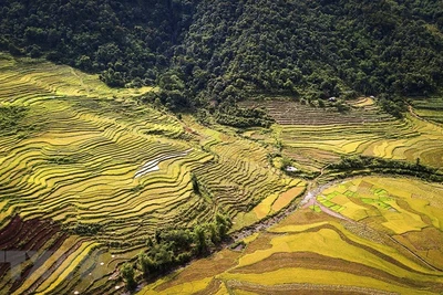 Vẻ đẹp cánh đồng ruộng bậc thang trải dài xã vùng cao ở Hòa Bình