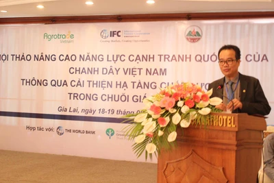 Nâng cao năng lực cạnh tranh quốc tế của chanh dây Việt Nam