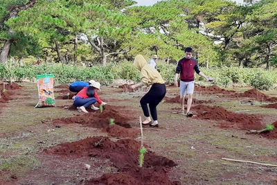 Ra quân "Tết trồng cây-Đời đời nhớ ơn Bác Hồ"