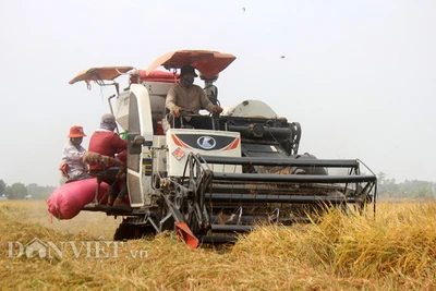 Đáng buồn: Chính sách cơ giới hóa chật hẹp, đến máy móc cũng không... thở được