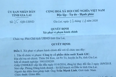 3 công ty chăn nuôi bị phạt vì gây ô nhiễm môi trường