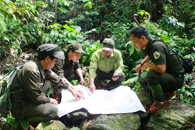 Đi tìm Kỳ lân châu Á:​ Hồn thiêng giữ rừng xanh