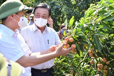 Bộ trưởng Lê Minh Hoan: Nền nông nghiệp mù mờ dẫn đến phải giải cứu nông sản