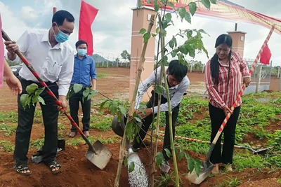 Mang Yang phát động Tết trồng cây "Đời đời nhớ ơn Bác Hồ"