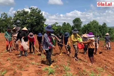 Ngày hội gây quỹ của phụ nữ làng Blên