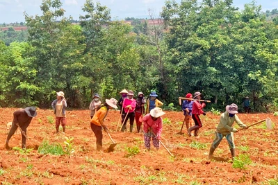 Phụ nữ Mang Yang giúp nhau thoát nghèo