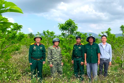 Cựu chiến binh An Khê giúp nhau phát triển kinh tế