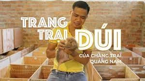 Bỏ phố về quê nuôi dúi, chàng trai Quảng Nam thu cả trăm triệu mỗi năm