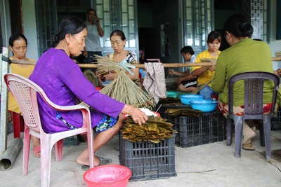 Làng bánh ú tro vào vụ Tết Đoan Ngọ