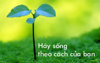 Chọn cách sống khác