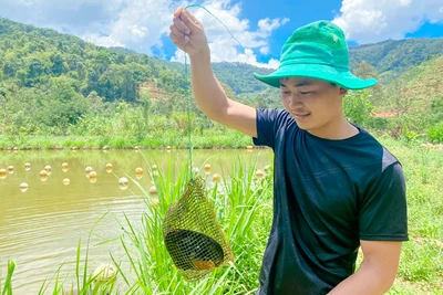 Lâm Đồng: Trai đẹp thôn Âm Phủ nuôi con không biết chạy, hàng năm nhả ngọc quý mà thu hàng trăm triệu đồng