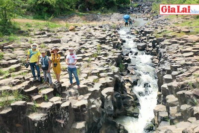 Kỳ thú bãi đá đĩa triệu năm ở làng Vân