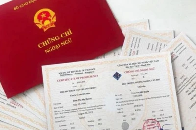 Chính thức bỏ chứng chỉ ngoại ngữ, tin học với công chức hành chính