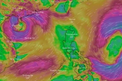 Khả năng sắp xuất hiện thêm 2 cơn bão/áp thấp nhiệt đới nối đuôi bão số 7