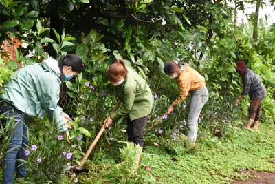 Phụ nữ tích cực hưởng ứng trồng 1 tỷ cây xanh