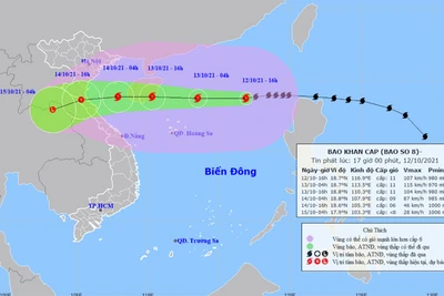 Triển khai kịp thời, hiệu quả, ứng phó bão số 8 và mưa lũ sau bão