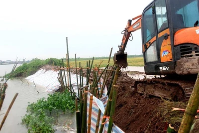 Hoàn lưu bão số 8 và mưa lớn gây nhiều thiệt hại cho các địa phương