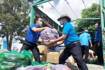 Người trẻ dấn thân cống hiến cho đất nước