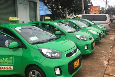 Taxi trên địa bàn TP. Buôn Ma Thuột được hoạt động 100% phương tiện