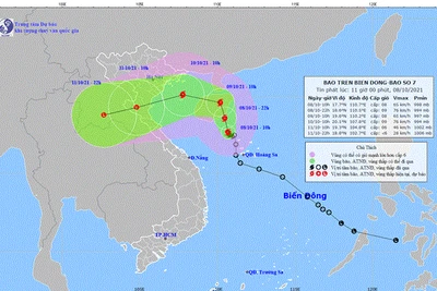 Bão số 7 có khả năng mạnh thêm, Đông Bắc Bộ mưa rất to từ chiều 9/10