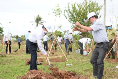 Vì một tương lai xanh